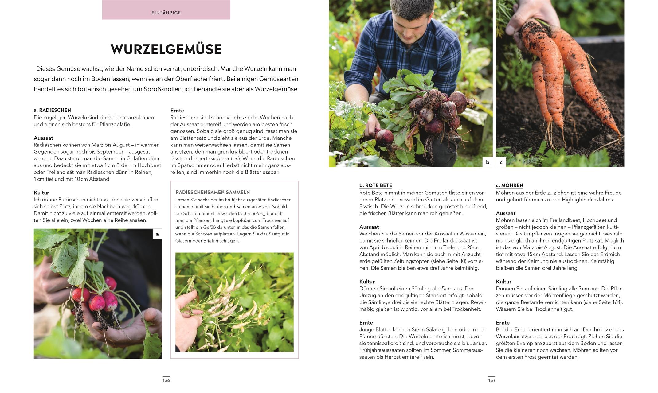 Beispielinhalt (Bild) Frische Ernte zum kleinen Preis