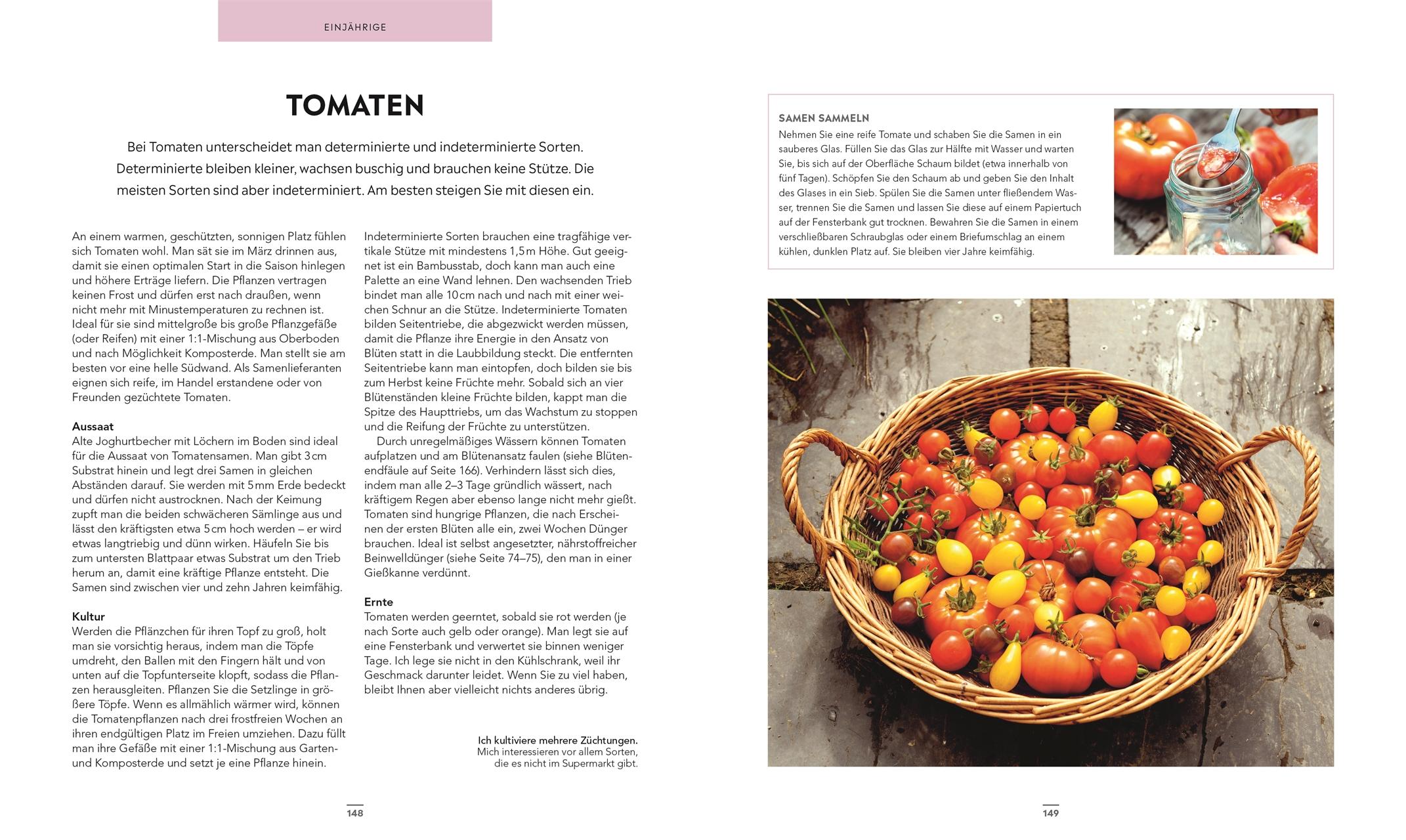 Beispielinhalt (Bild) Frische Ernte zum kleinen Preis