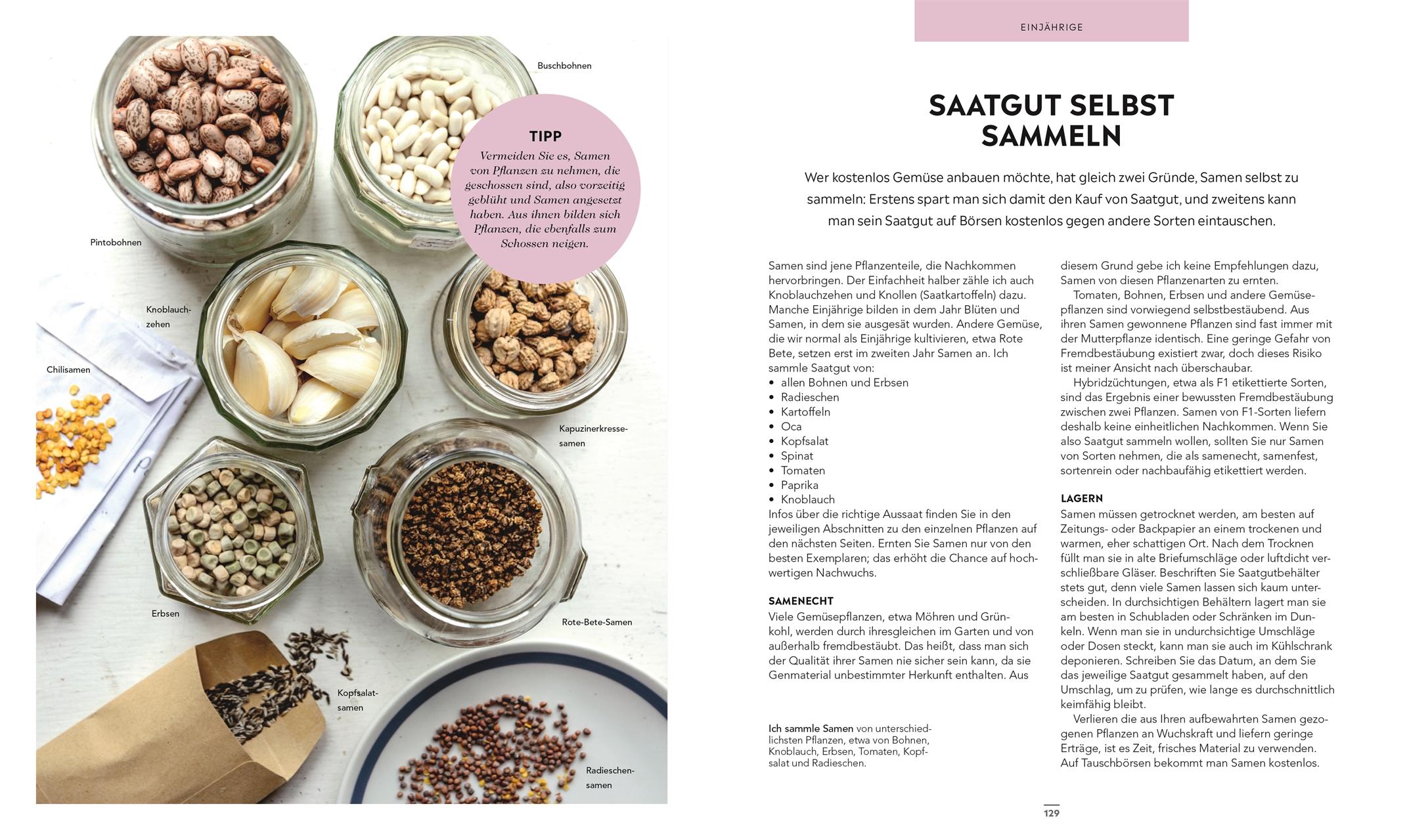 Beispielinhalt (Bild) Frische Ernte zum kleinen Preis