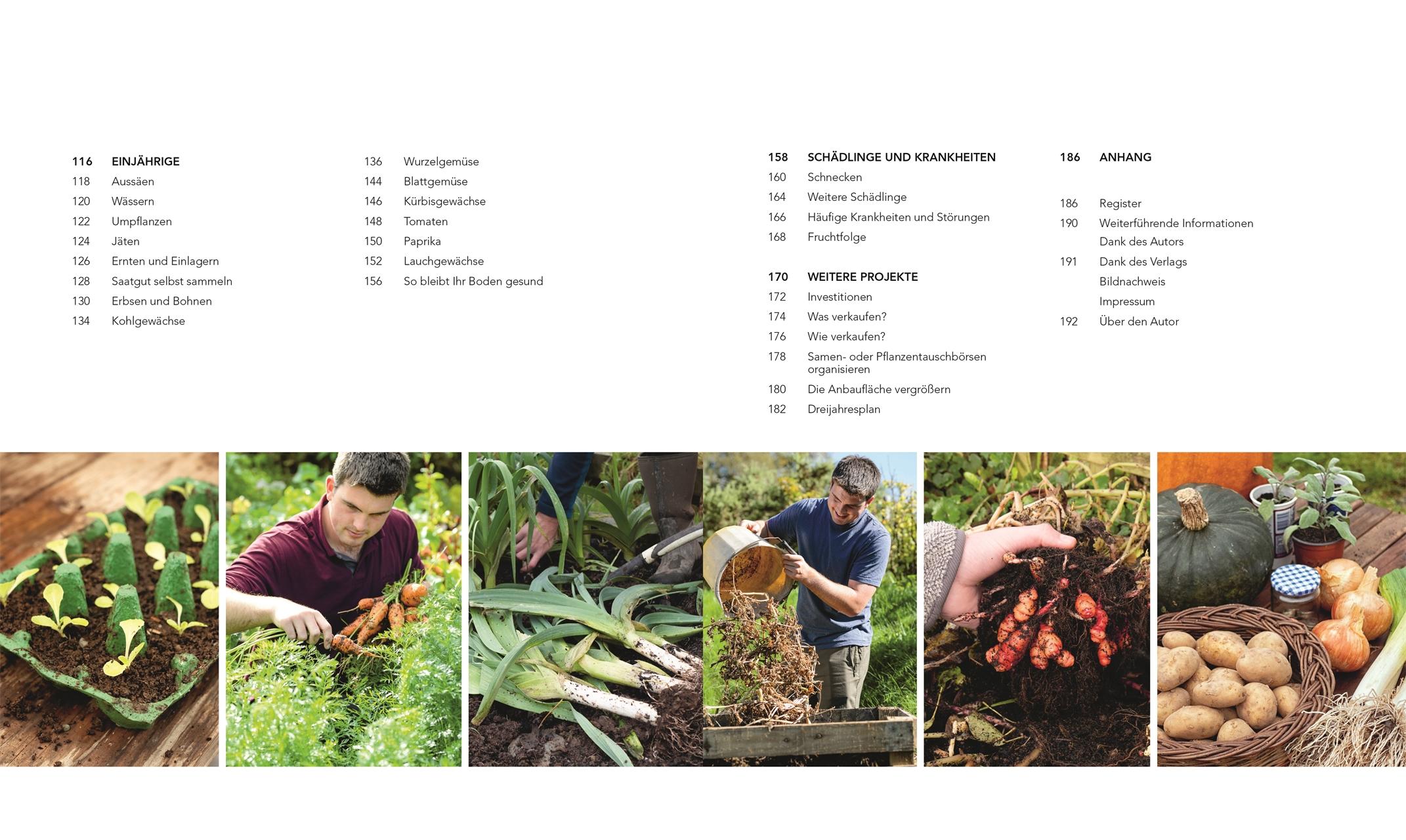 Beispielinhalt (Bild) Frische Ernte zum kleinen Preis