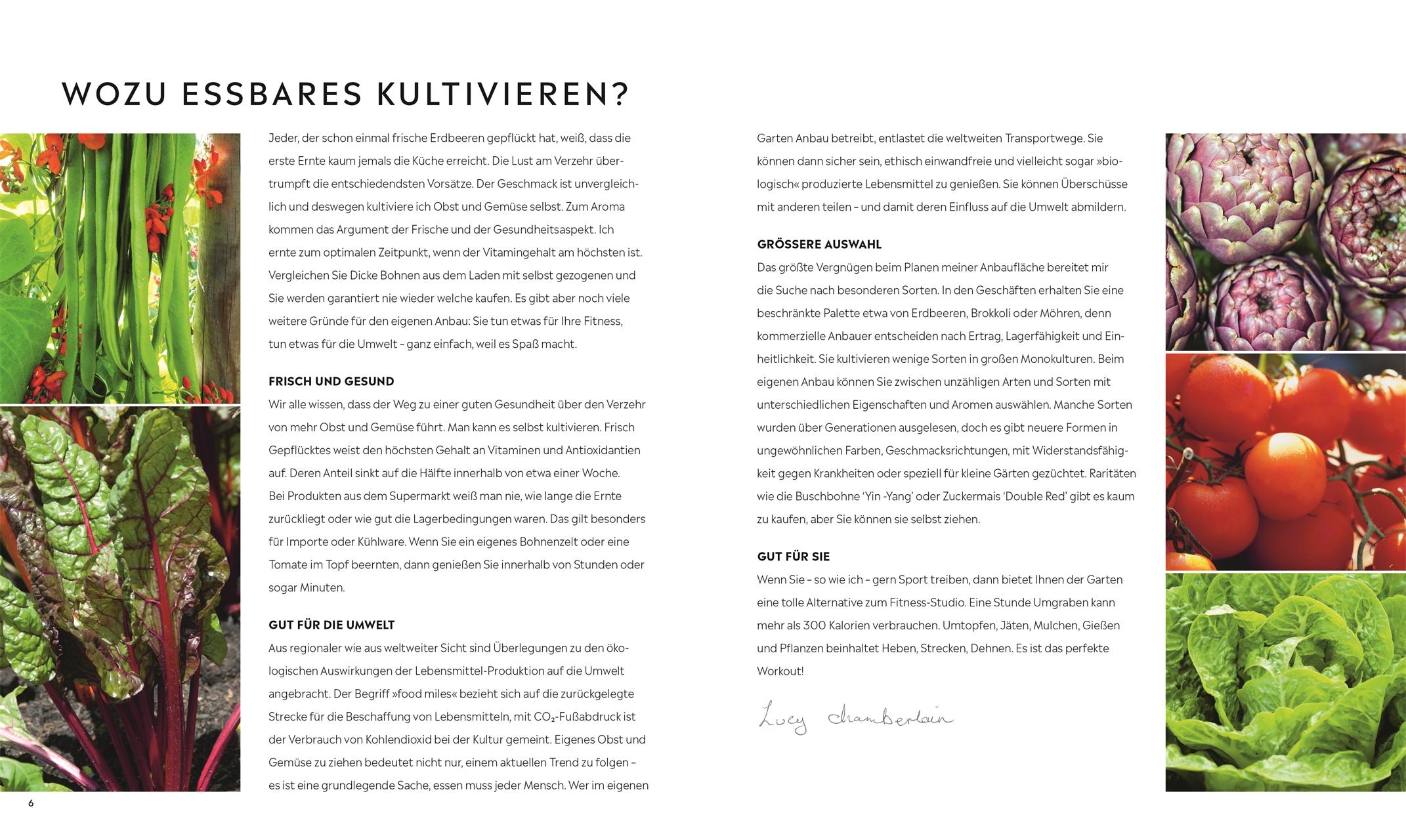 Beispielinhalt (Bild) Kleiner Garten - große Ernte