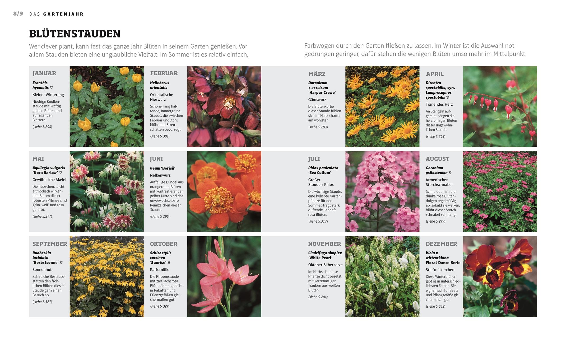 Beispielinhalt (Bild) Das Gartenjahr