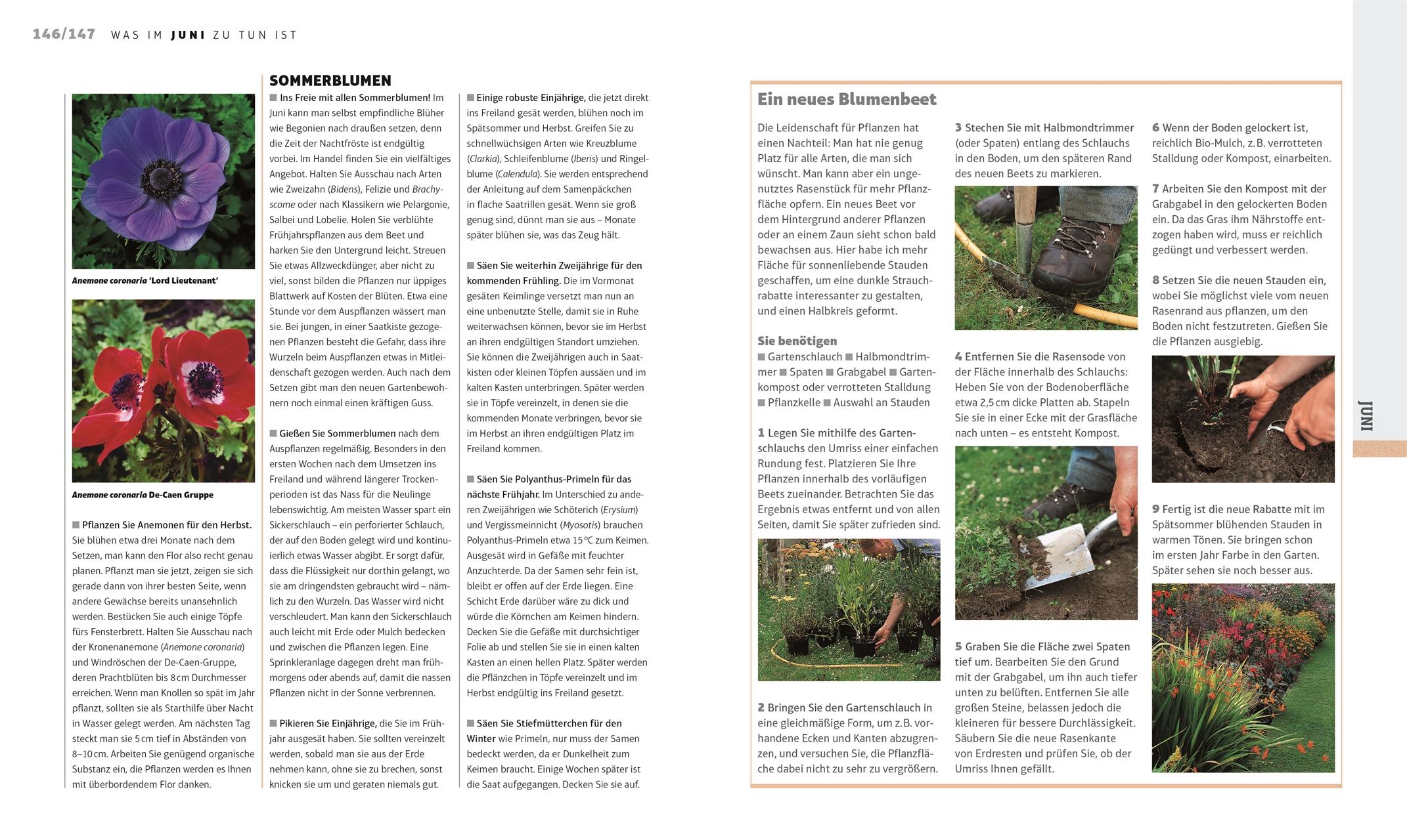 Beispielinhalt (Bild) Das Gartenjahr