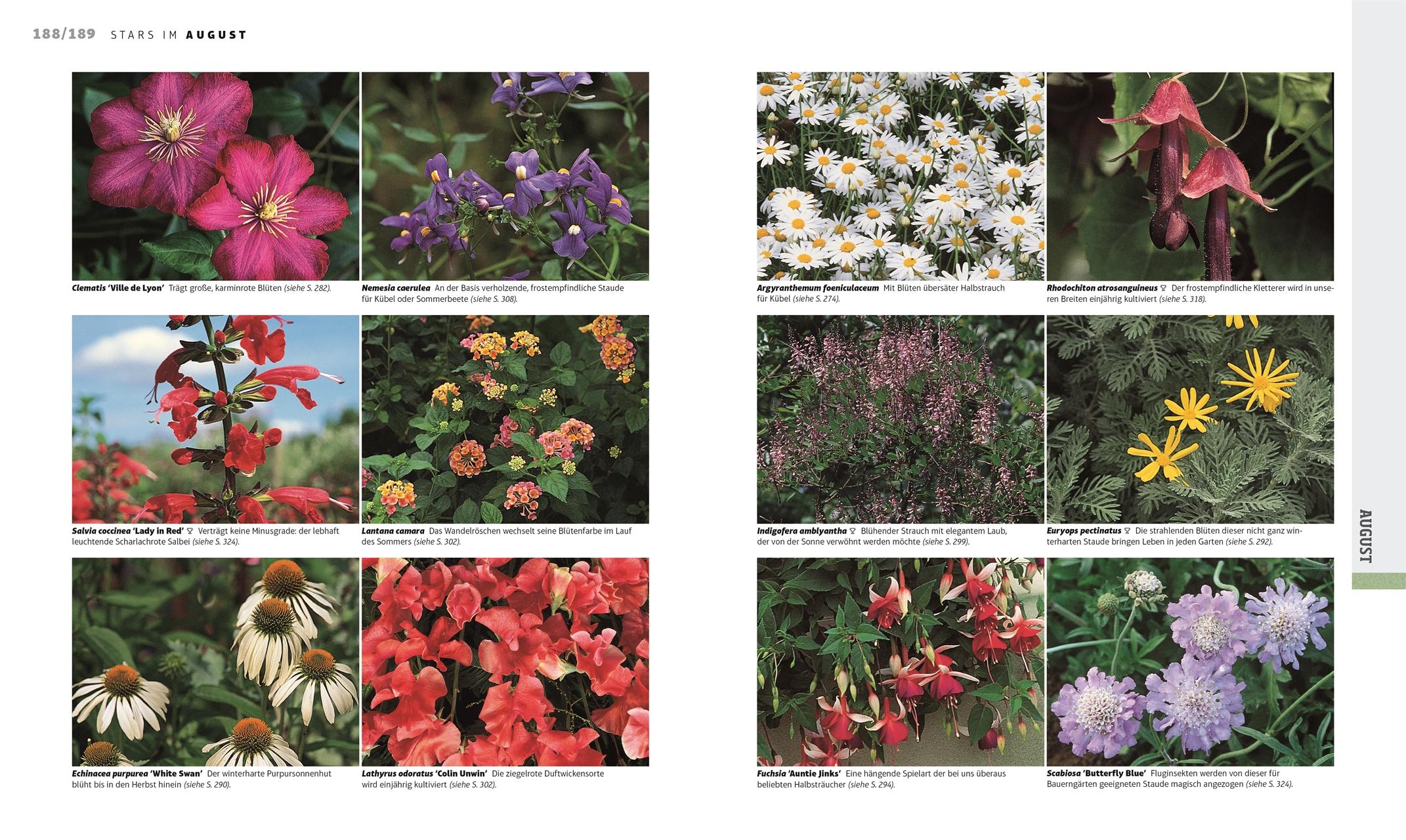 Beispielinhalt (Bild) Das Gartenjahr