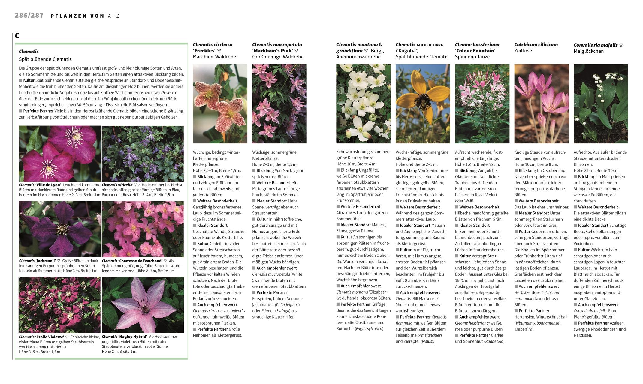 Beispielinhalt (Bild) Das Gartenjahr