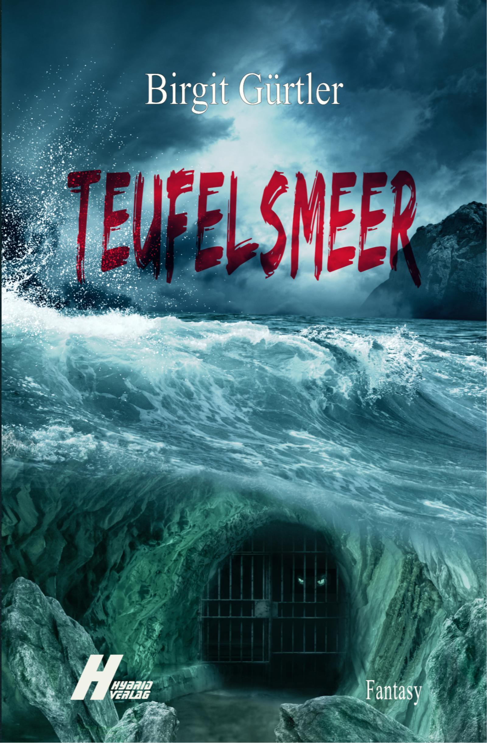 Vorderes Coverbild Teufelsmeer