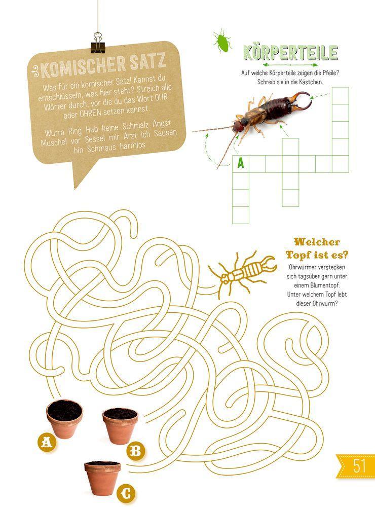 Beispielinhalt (Bild) INSEKTEN & Co.