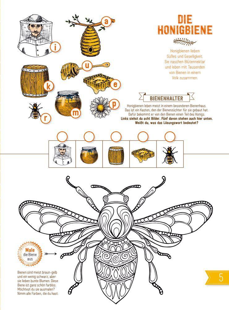Beispielinhalt (Bild) INSEKTEN & Co.