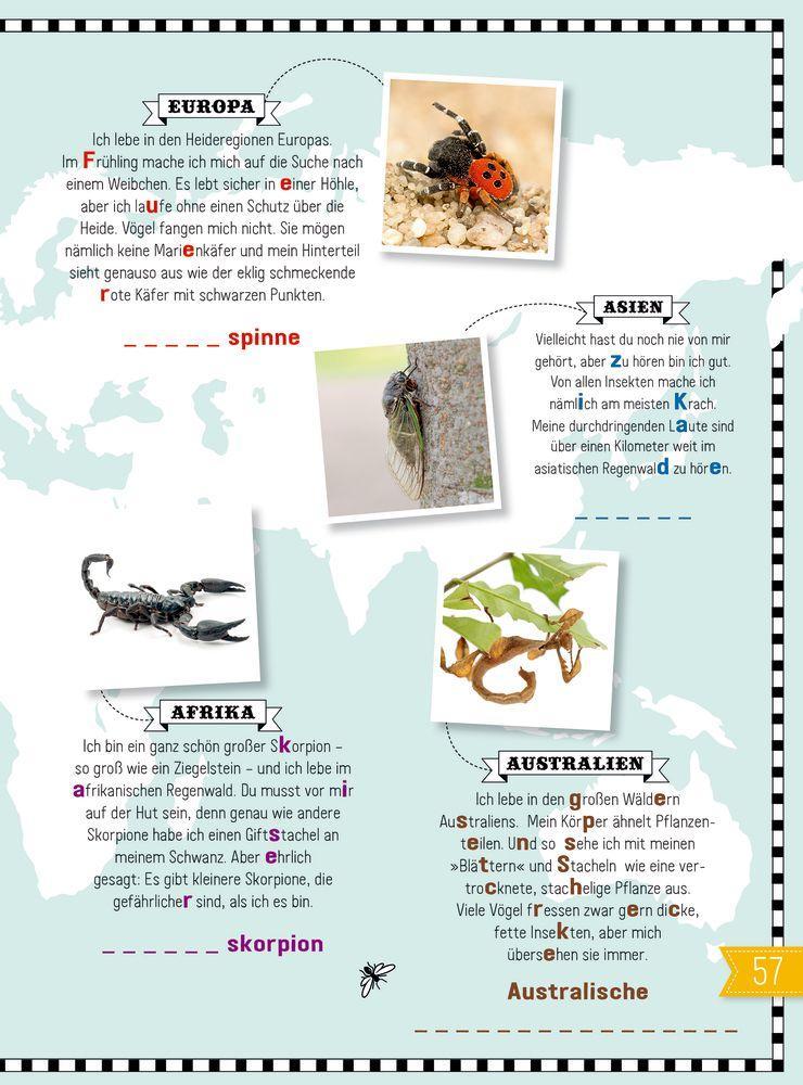 Beispielinhalt (Bild) INSEKTEN & Co.