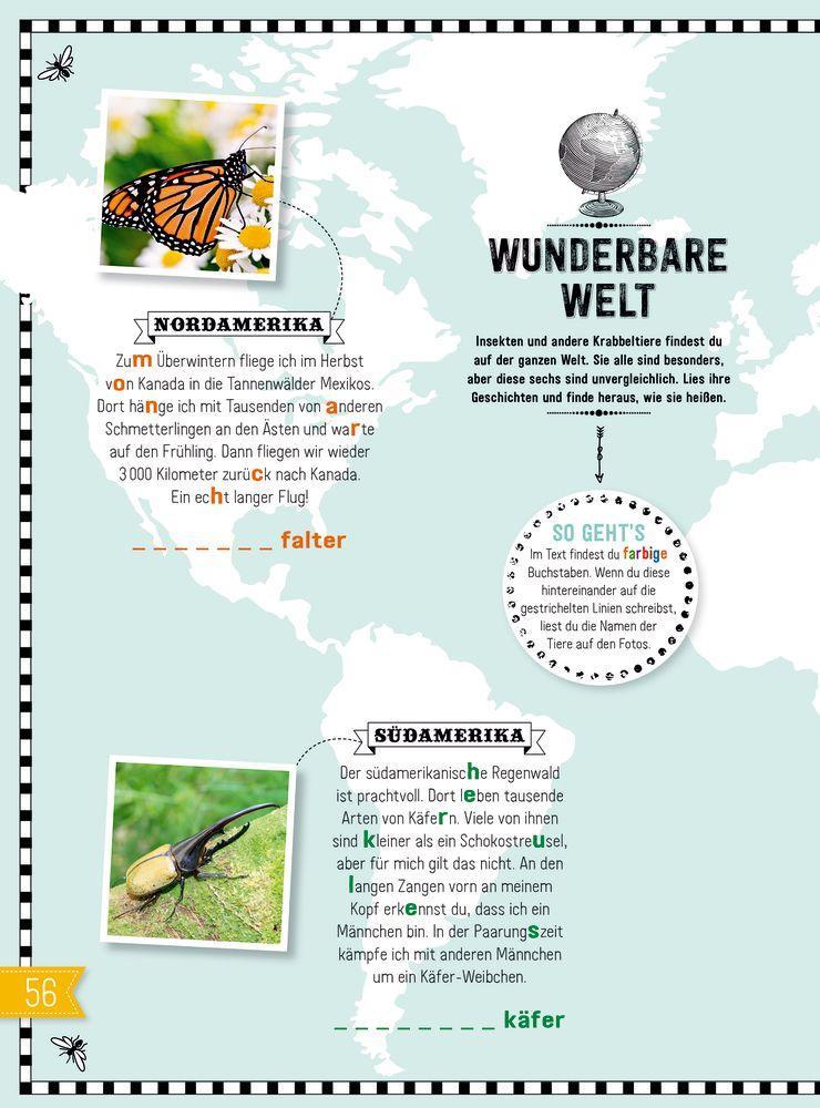 Beispielinhalt (Bild) INSEKTEN & Co.