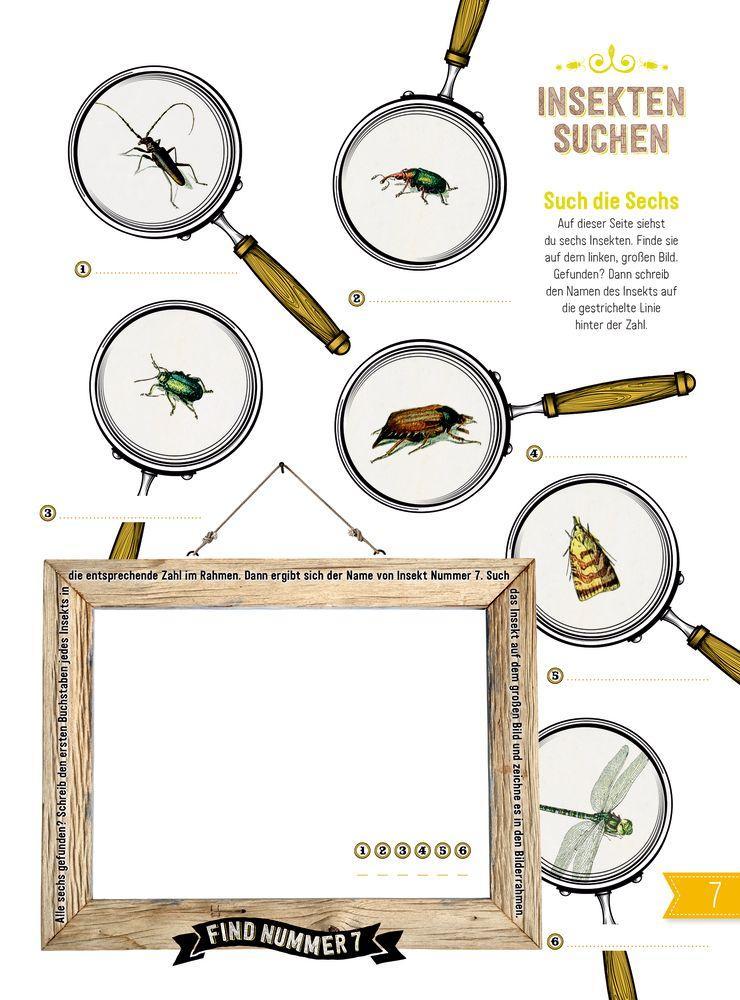 Beispielinhalt (Bild) INSEKTEN & Co.