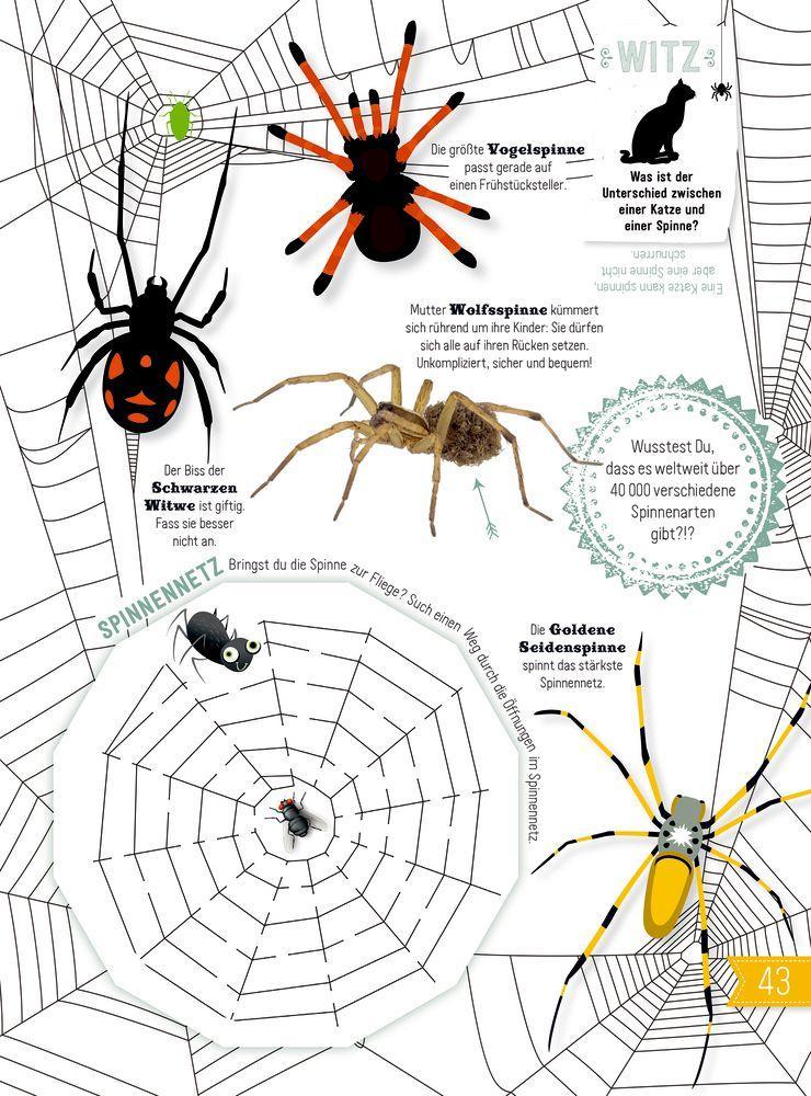 Beispielinhalt (Bild) INSEKTEN & Co.