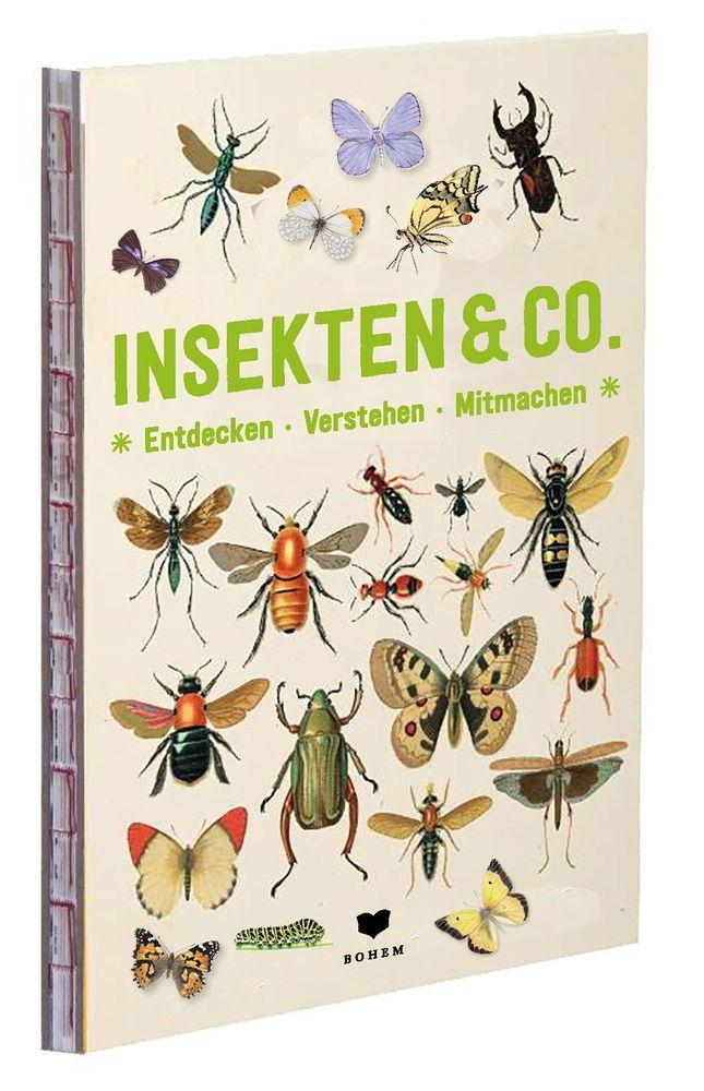 Beispielinhalt (Bild) INSEKTEN & Co.