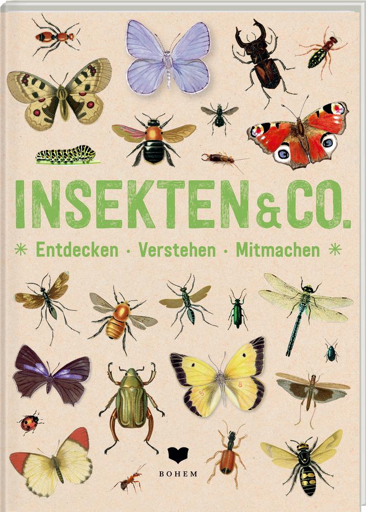 Vorderes Coverbild INSEKTEN & Co.