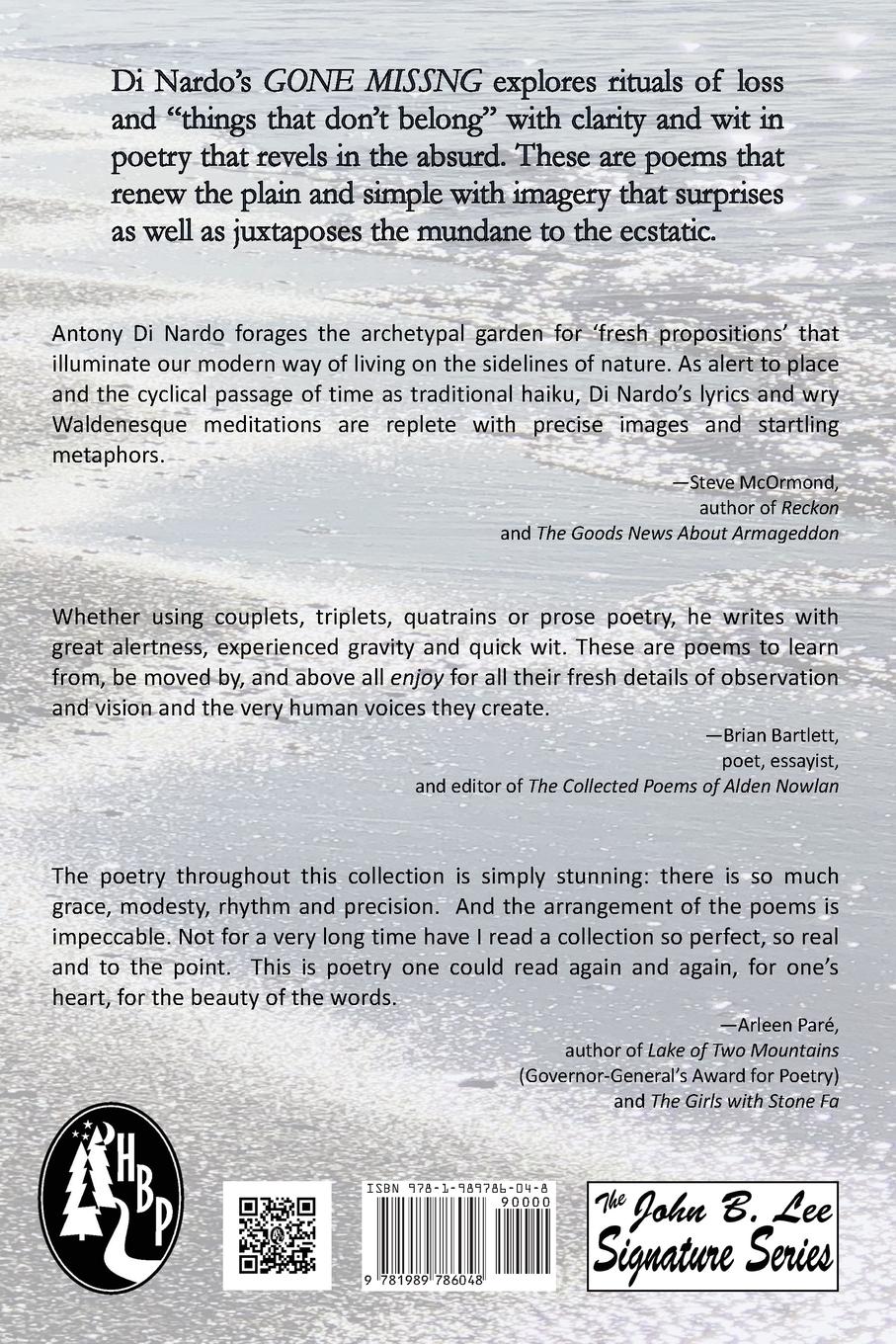 Rückseitencover Gone Missng