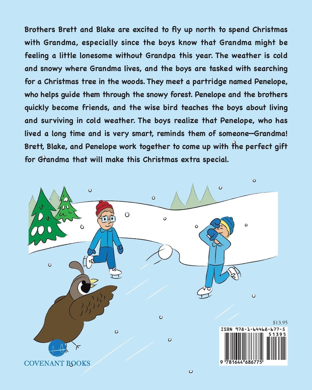 Rückseitencover The Perfect Christmas Gift