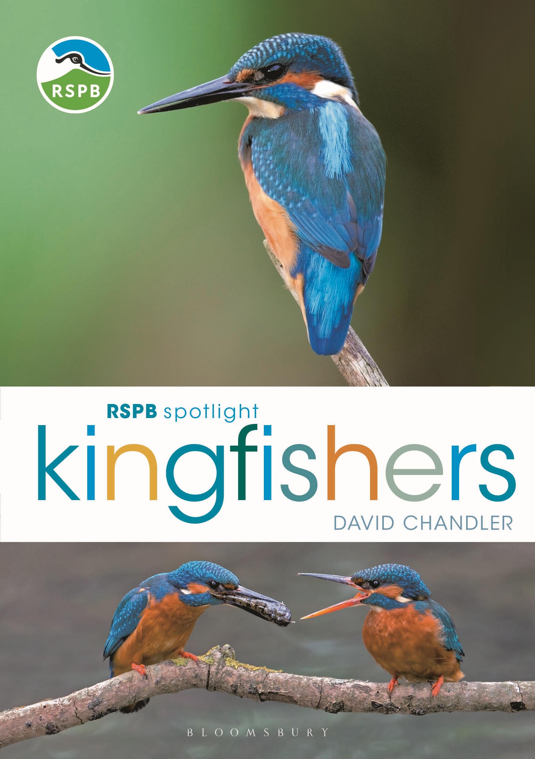Vorderes Coverbild RSPB Spotlight Kingfishers