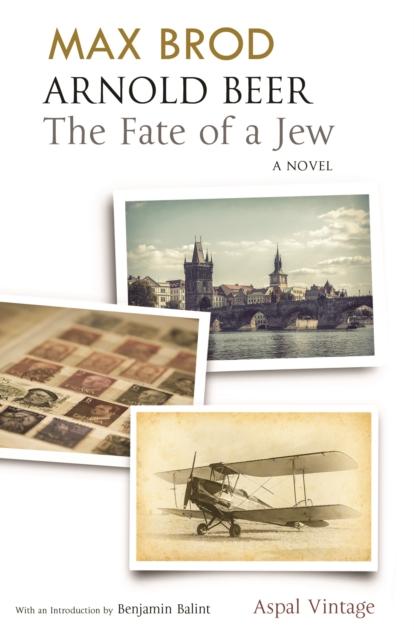 Vorderes Coverbild Arnold Beer