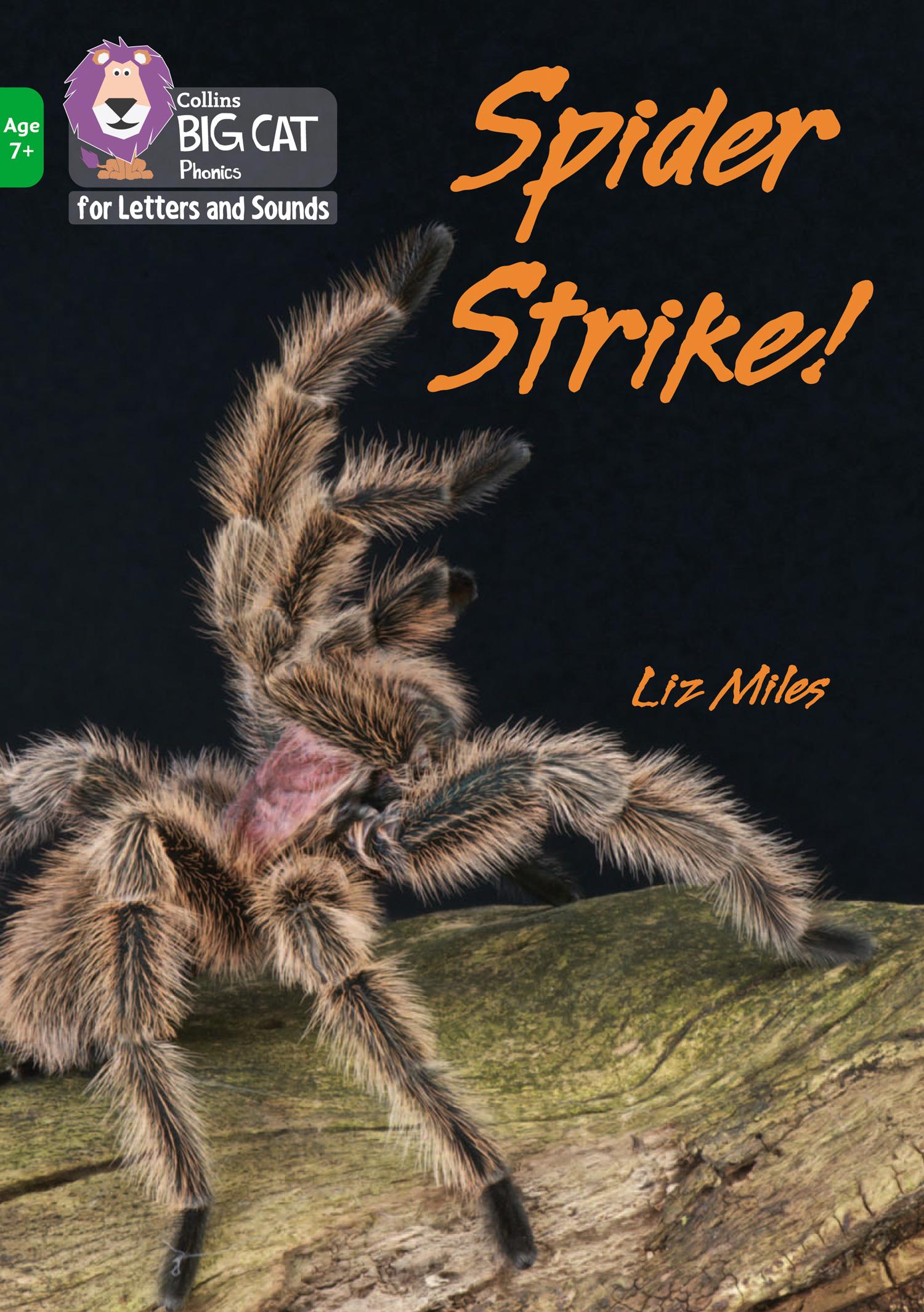 Vorderes Coverbild Spider Strike!
