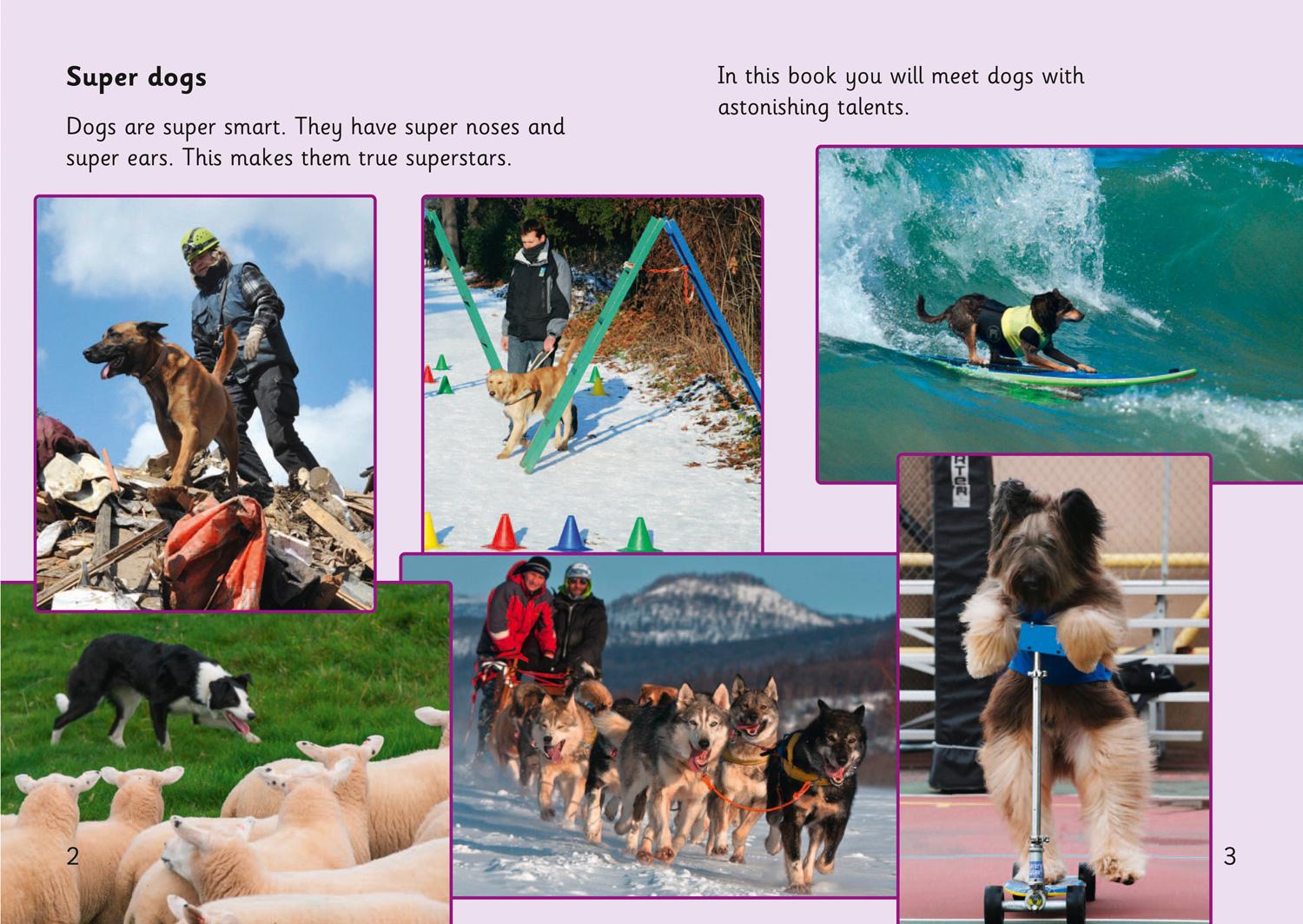 Beispielinhalt (Bild) Super Dogs