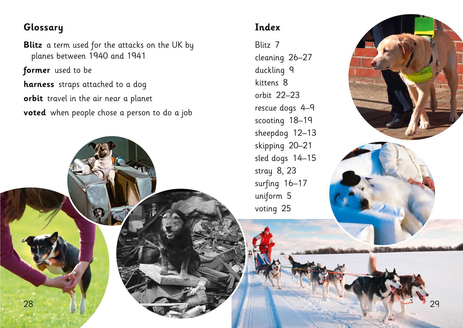 Beispielinhalt (Bild) Super Dogs