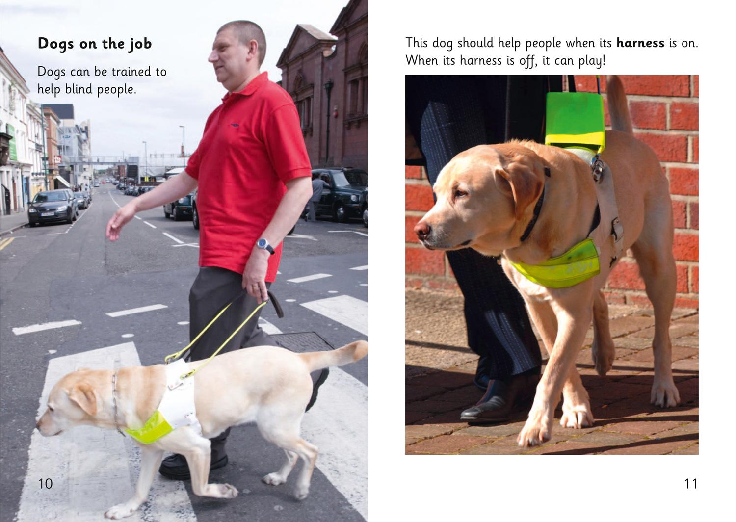 Beispielinhalt (Bild) Super Dogs