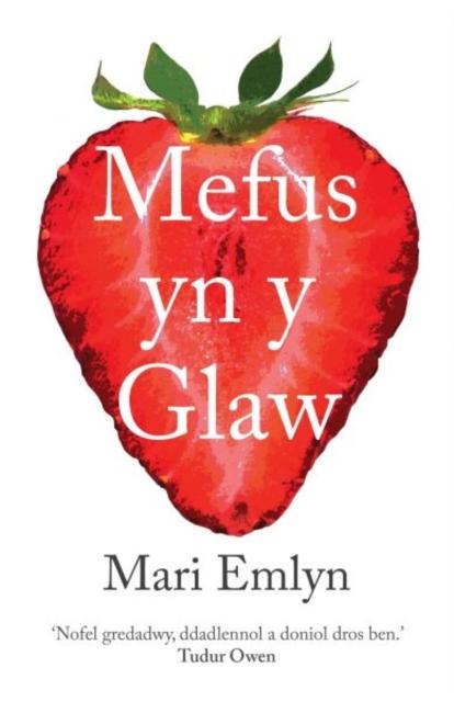 Vorderes Coverbild Mefus yn y Glaw