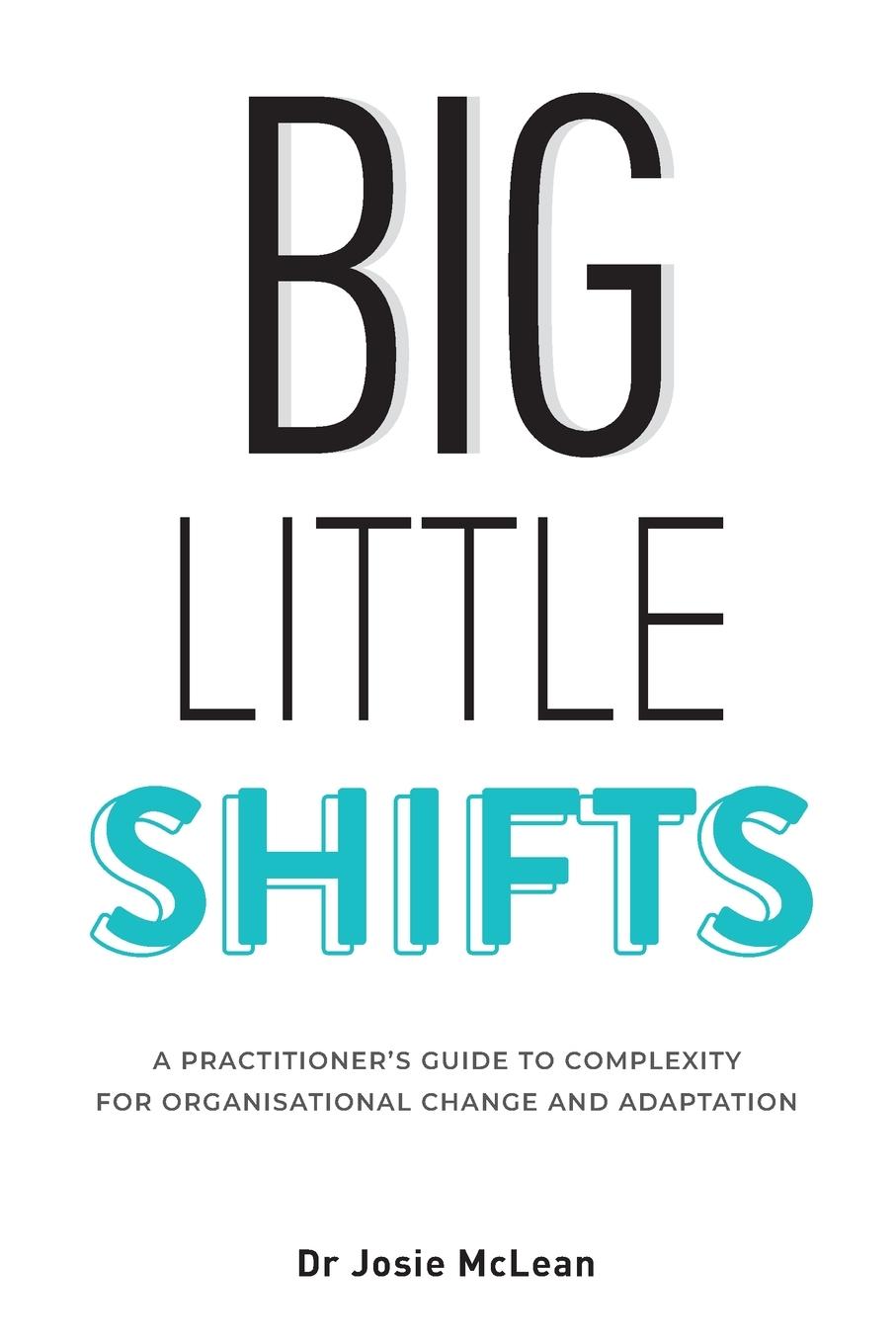 Vorderes Coverbild Big Little Shifts