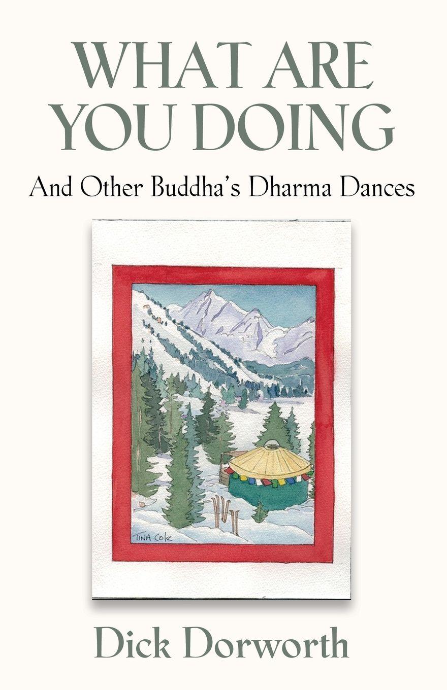 Vorderes Coverbild WHAT ARE YOU DOING? And Other Buddha's Dharma Dances
