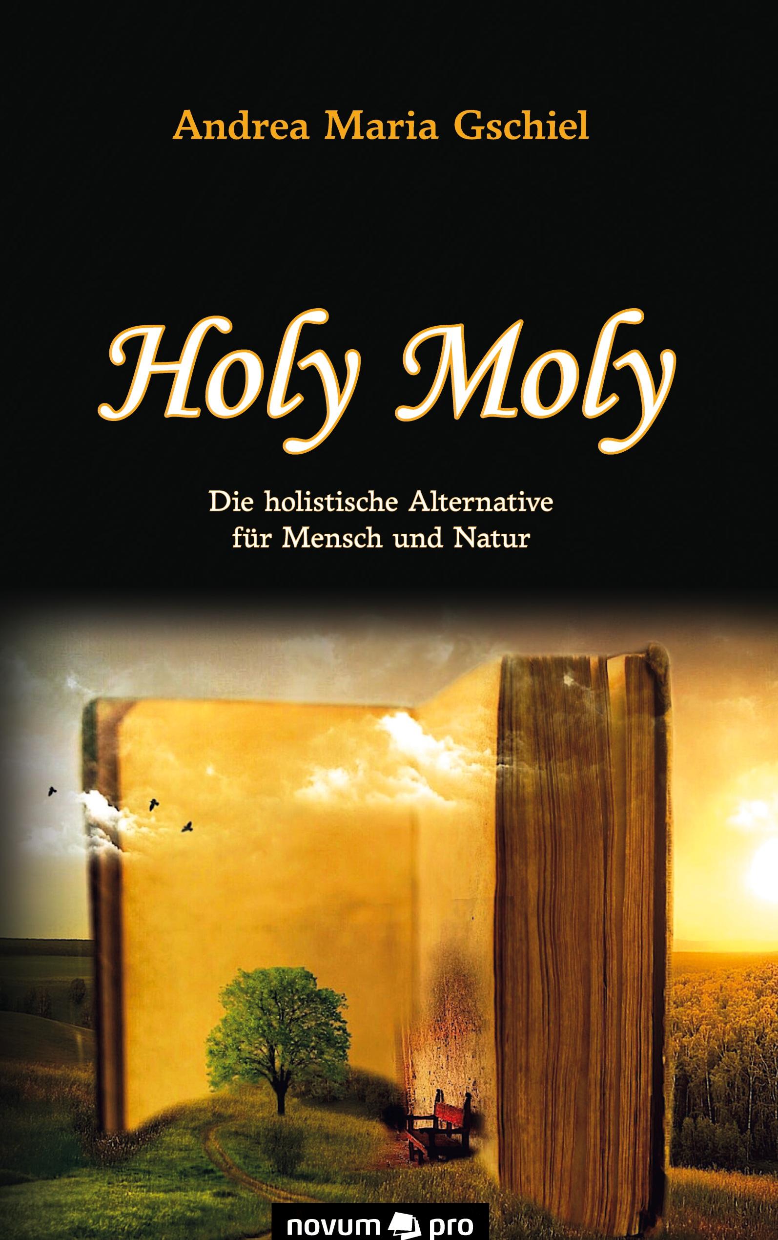 Vorderes Coverbild Holy Moly