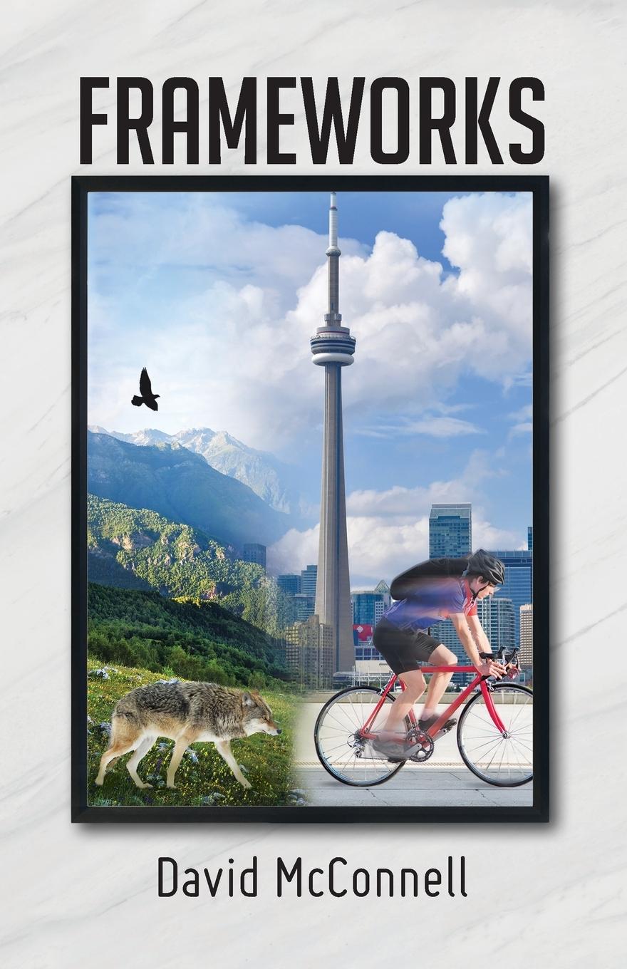 Vorderes Coverbild Frameworks