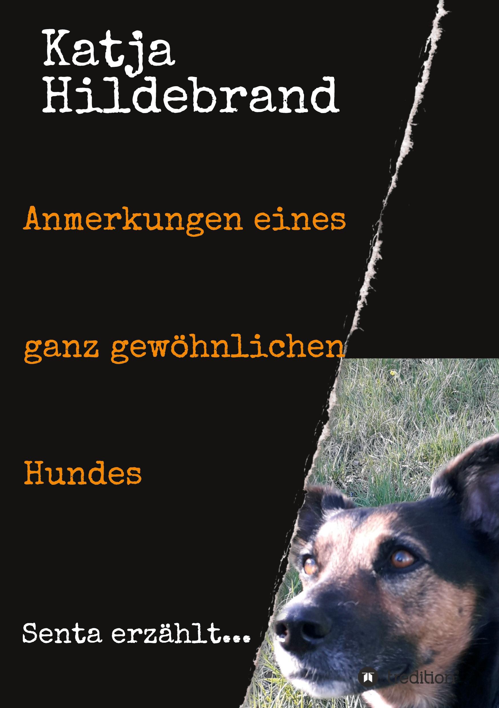 Vorderes Coverbild Anmerkungen eines ganz gewöhnlichen Hundes