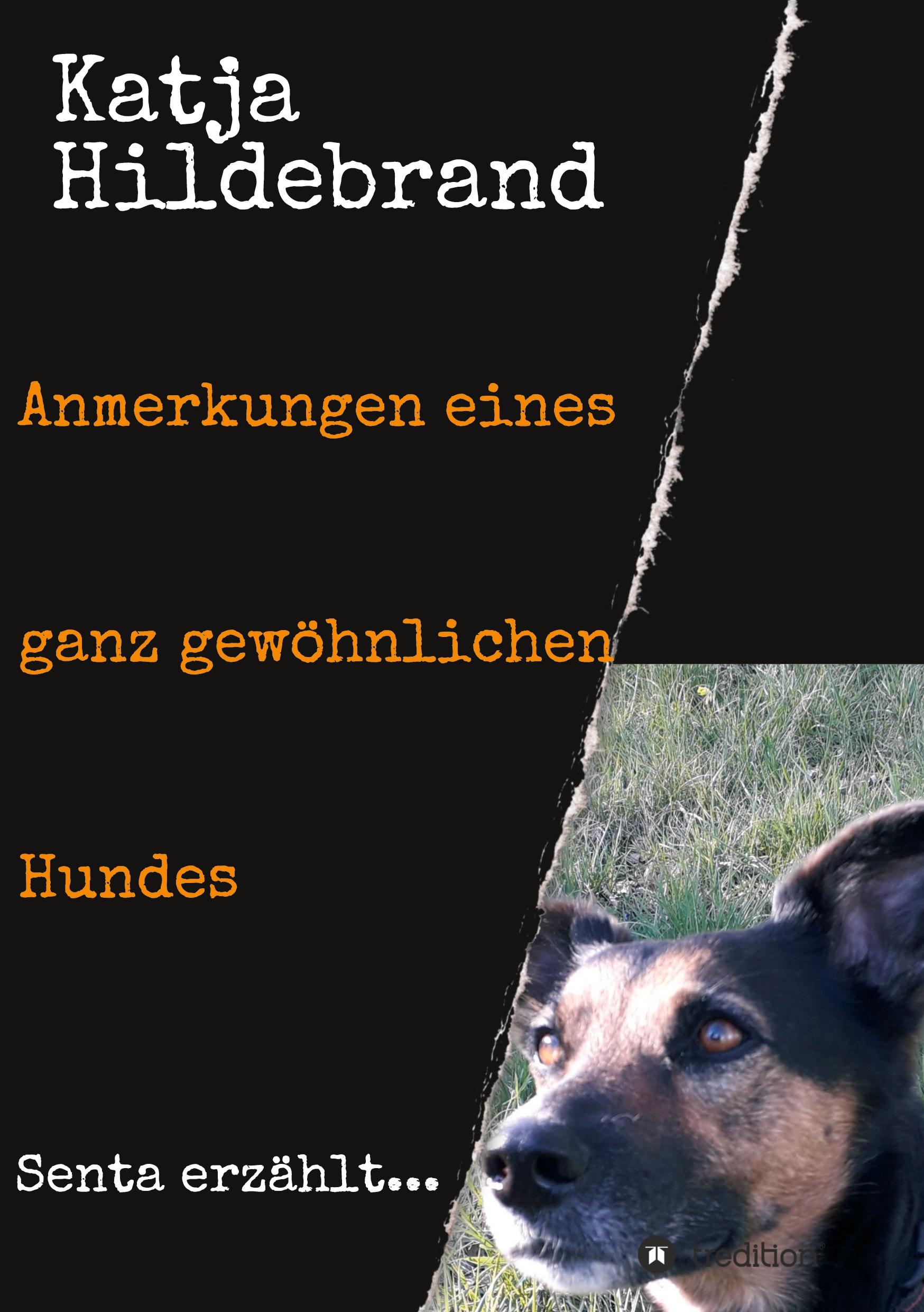 Vorderes Coverbild Anmerkungen eines ganz gewöhnlichen Hundes