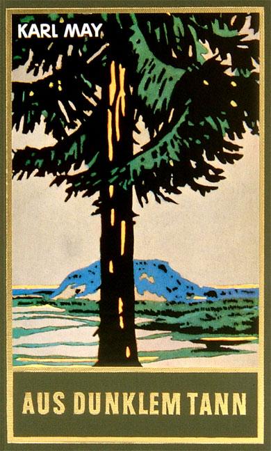 Vorderes Coverbild Aus dunklem Tann