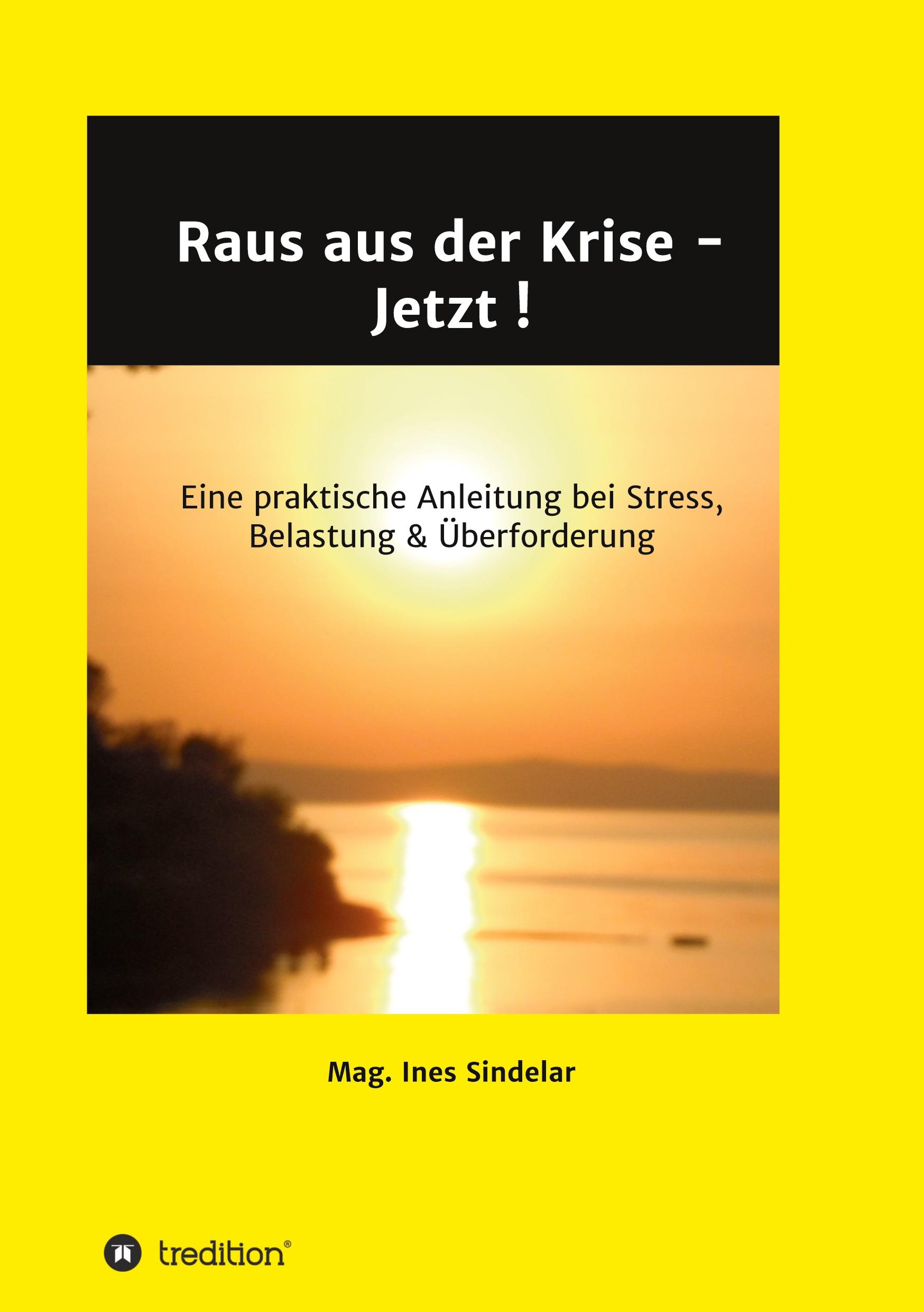 Vorderes Coverbild Raus aus der Krise - Jetzt !