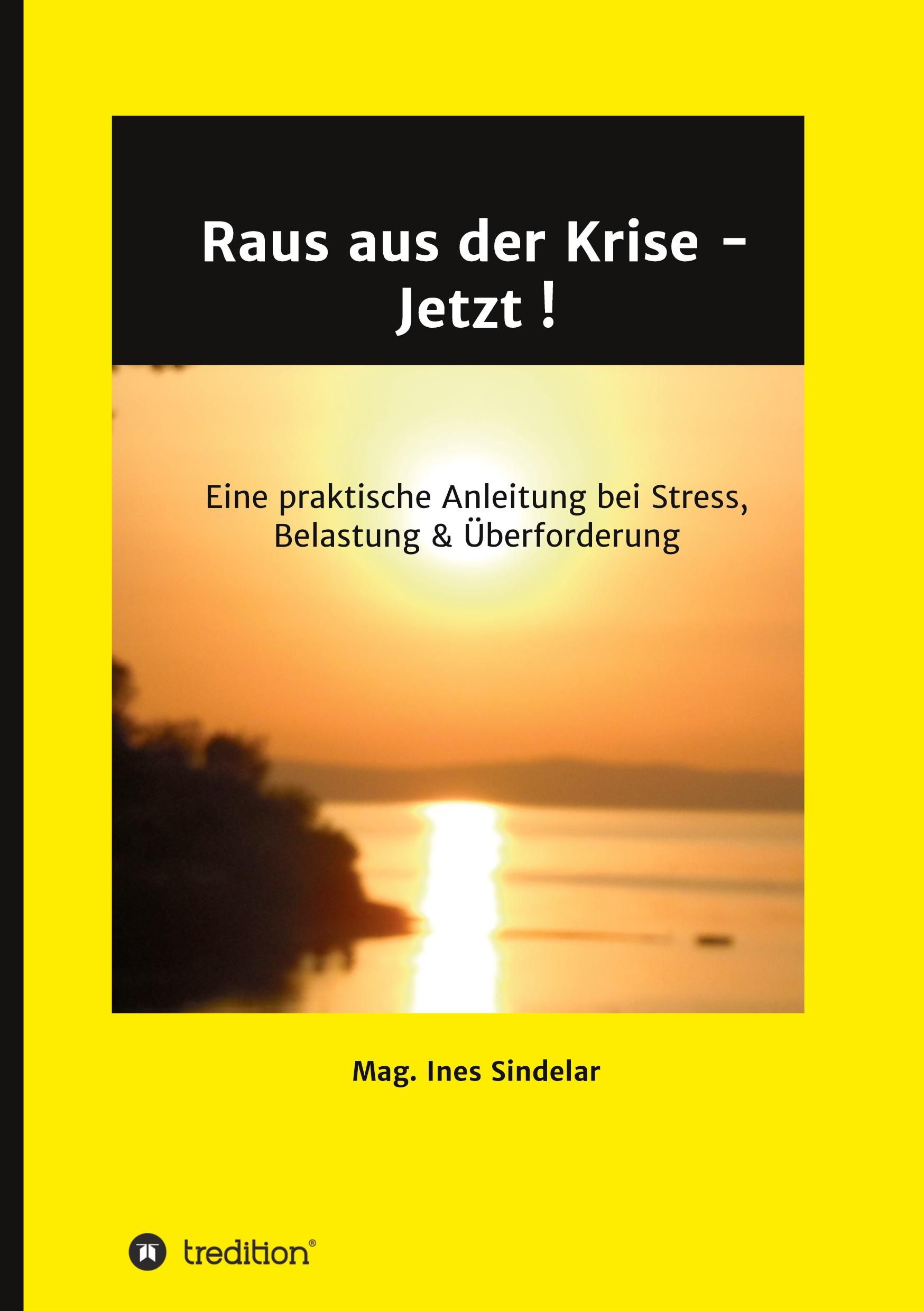 Vorderes Coverbild Raus aus der Krise - Jetzt !