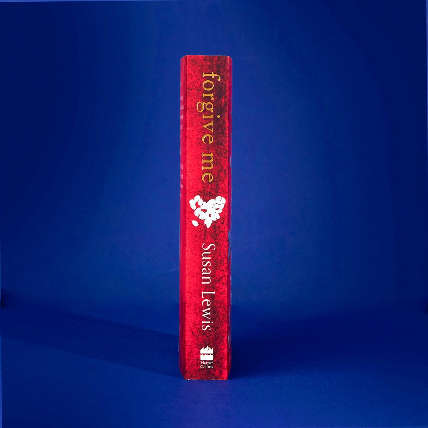 Beispielinhalt (Bild) Forgive Me