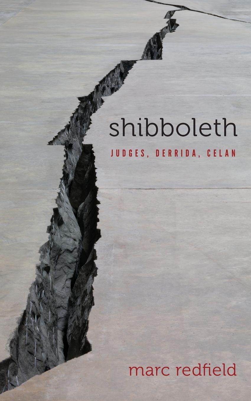 Vorderes Coverbild Shibboleth