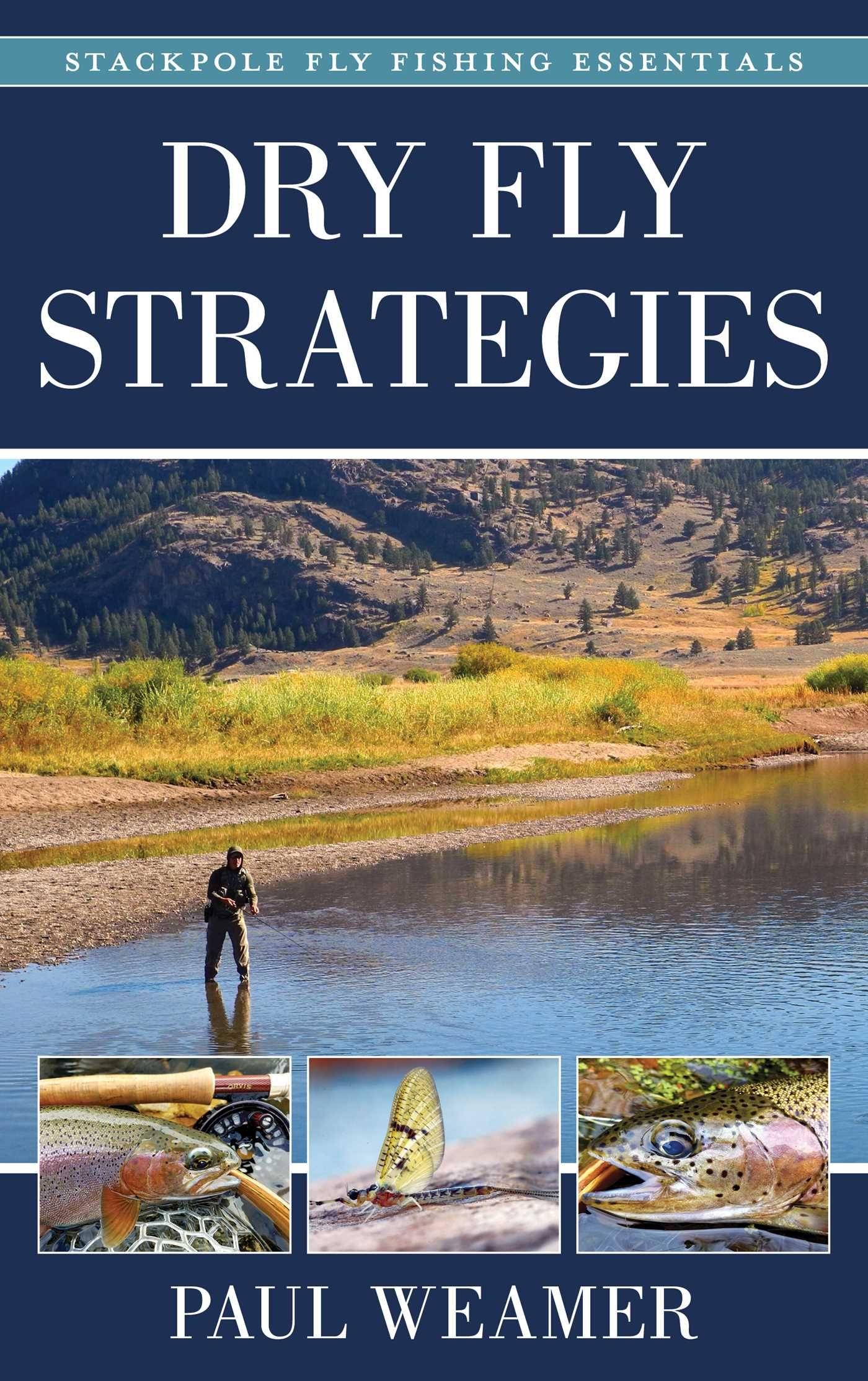 Vorderes Coverbild Dry Fly Strategies