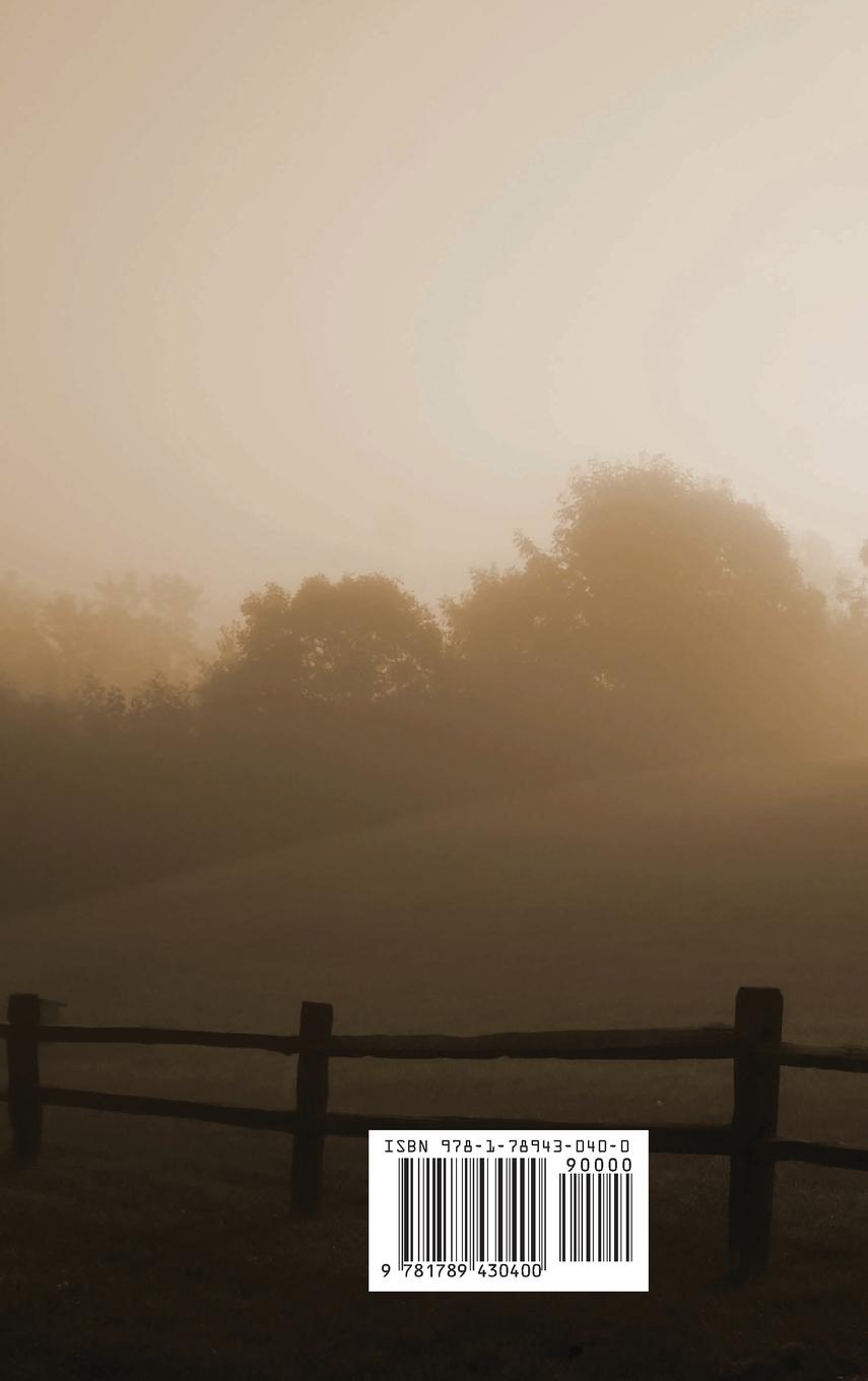 Rückseitencover The Provincial Lady Goes Further, (Fully Illustrated)