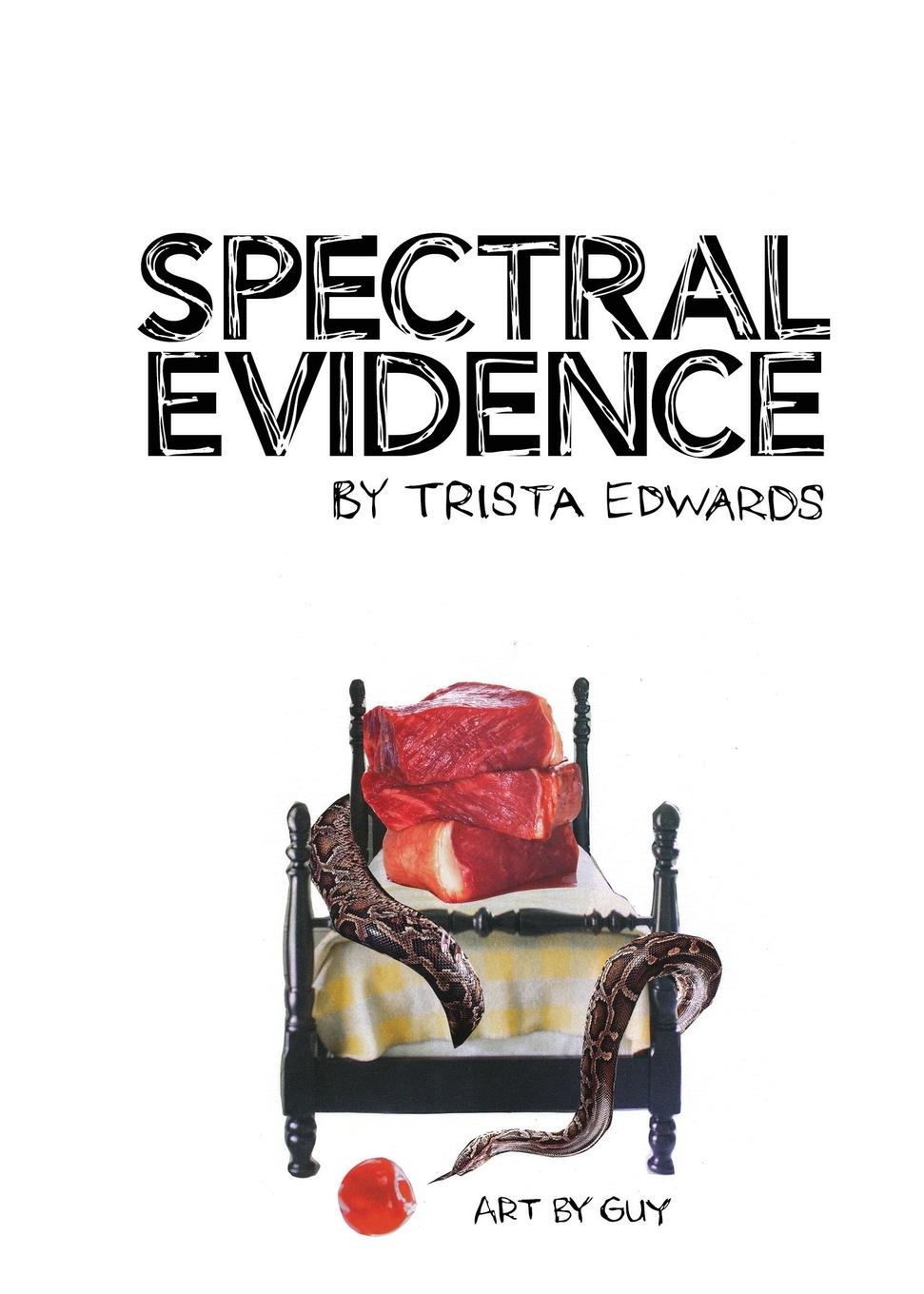 Vorderes Coverbild Spectral Evidence