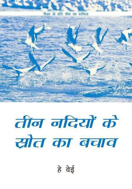 Vorderes Coverbild Rescuing the Three Rivers Source (Hindi Edition)
