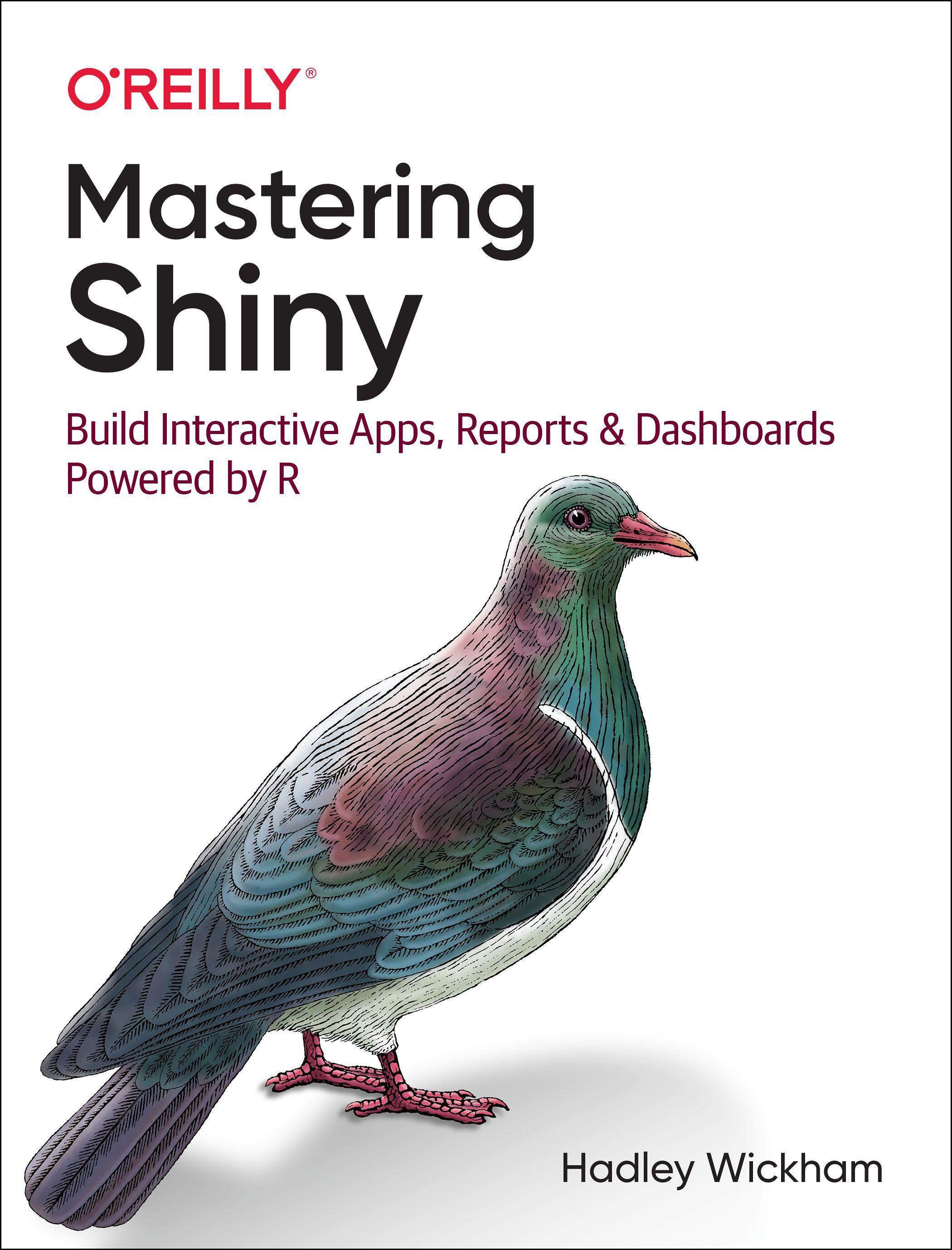 Vorderes Coverbild Mastering Shiny