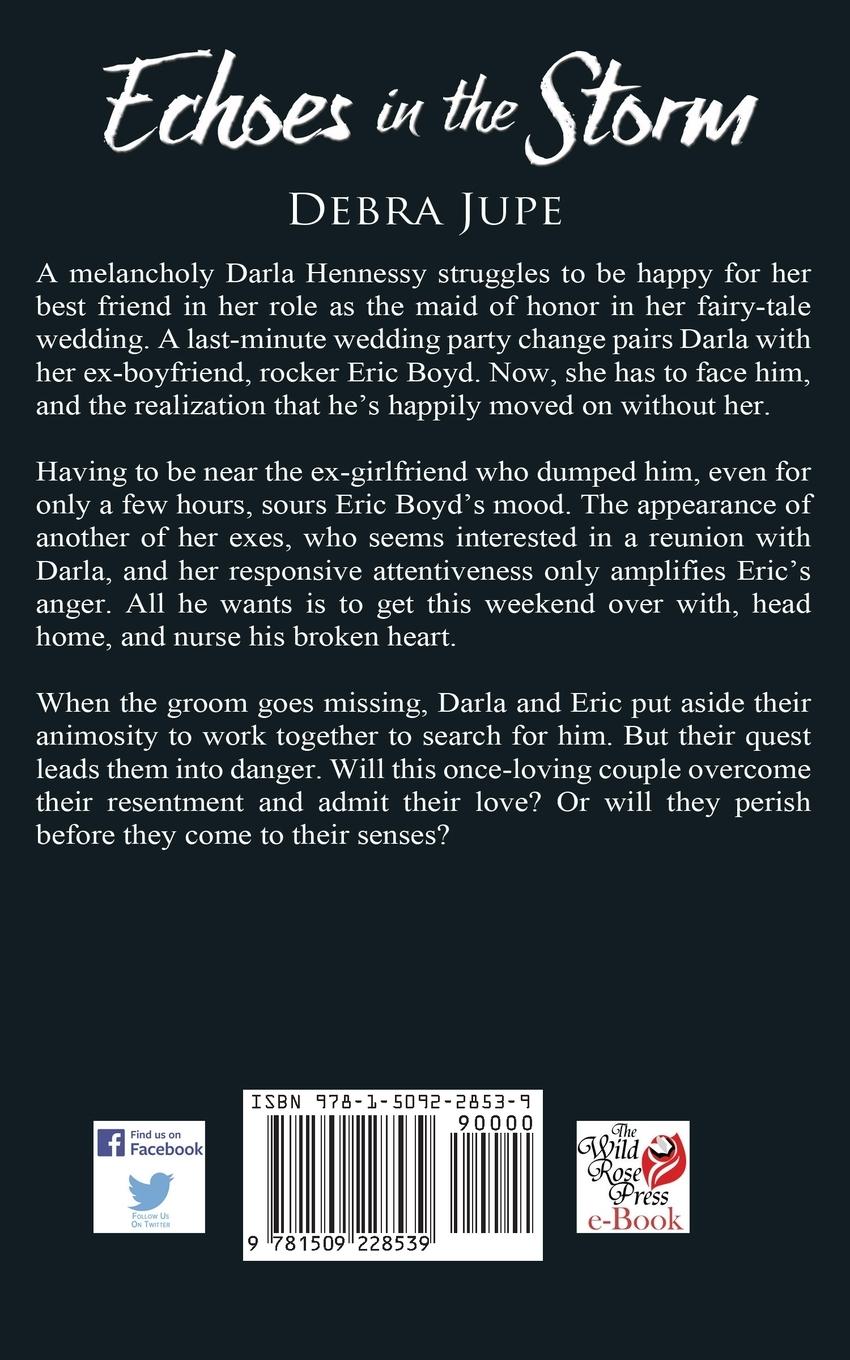 Rückseitencover Echoes in the Storm