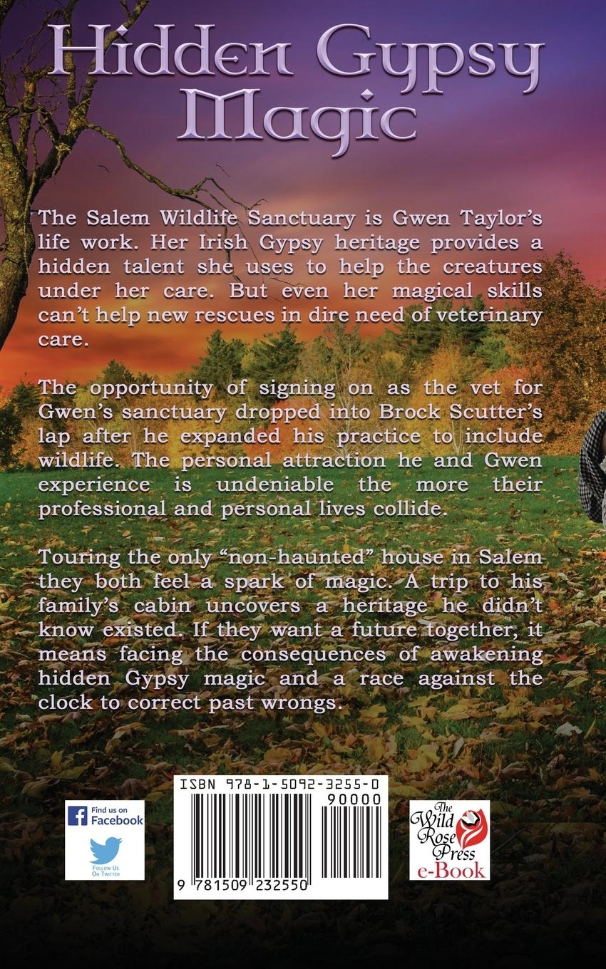 Rückseitencover Hidden Gypsy Magic