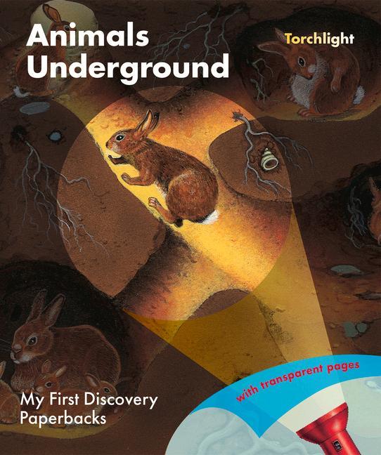 Vorderes Coverbild Animals Underground