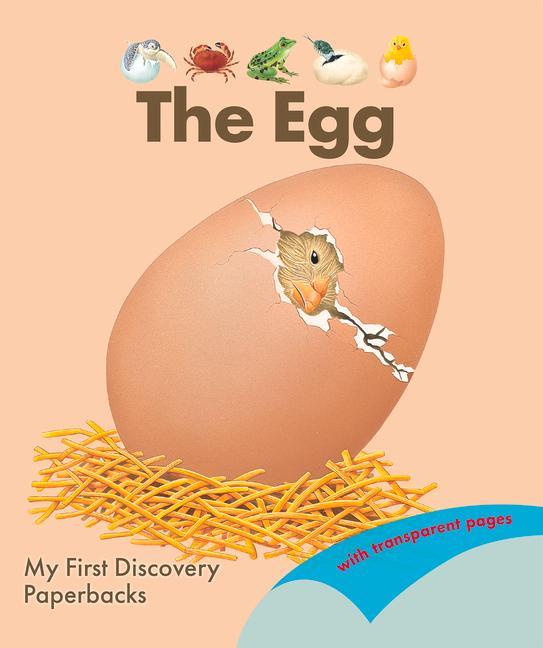 Vorderes Coverbild The Egg