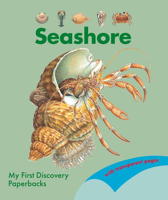 Vorderes Coverbild Seashore