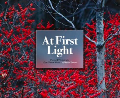 Vorderes Coverbild At First Light:: Poems & Photography
