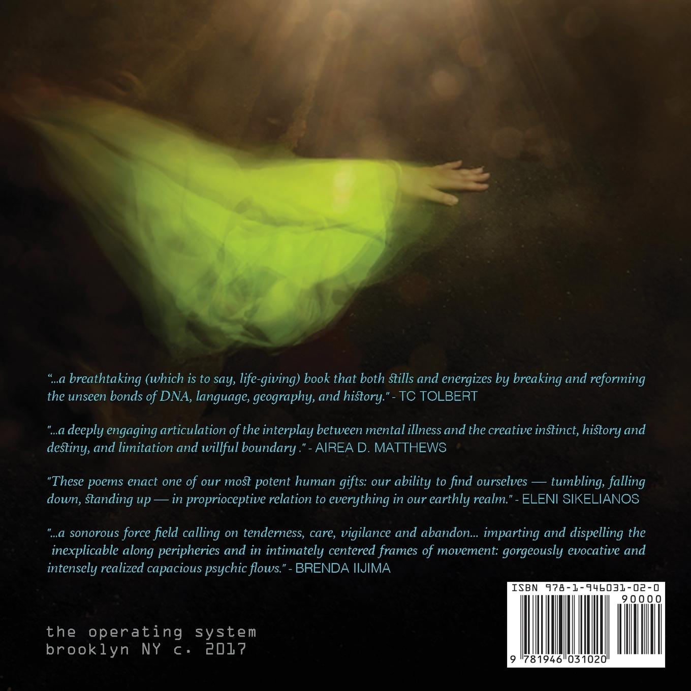 Rückseitencover The Color She Gave Gravity